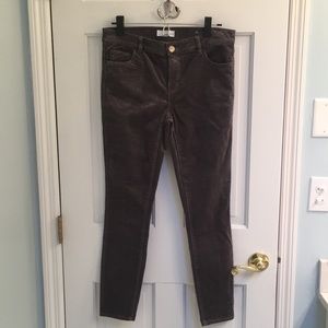 Loft “Modern Skinny” Pants